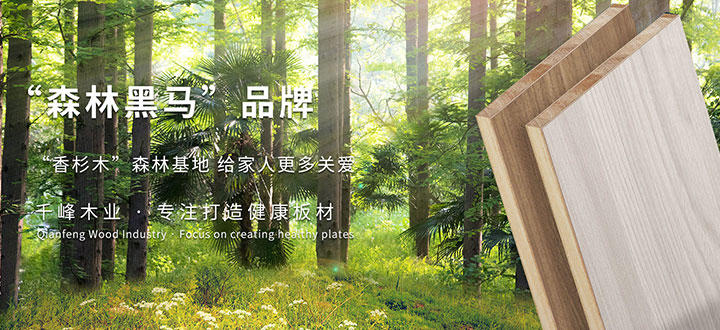 �ŵ¿Ƽ�����(����)���޹�˾