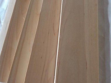 ����ϵ��