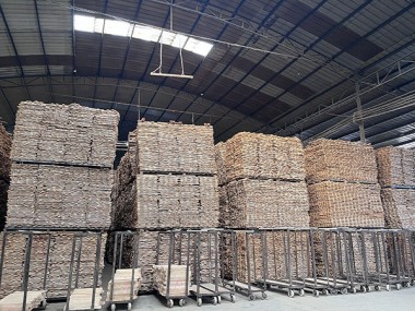 ����ϵ��