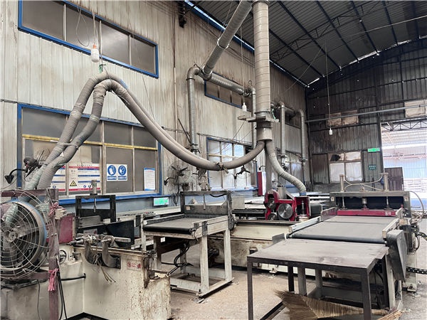 ѡ�������