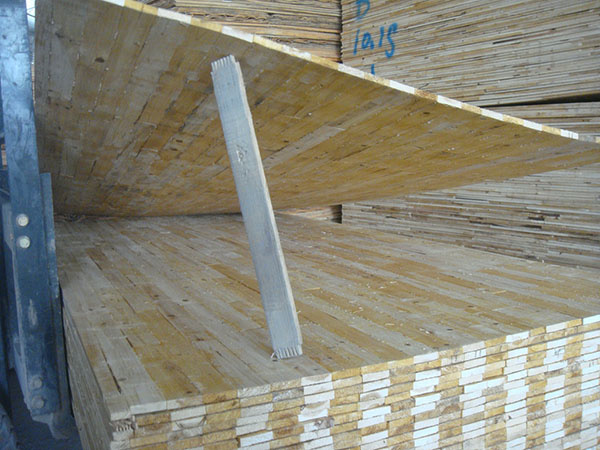 ľ����ô��������