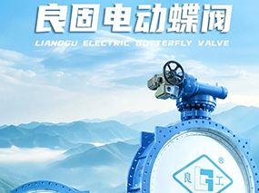 �ڲ���������Ϊ��DN3200�綯������������������Դˮ��2��66��ǧ��ȼú������Ŀ
