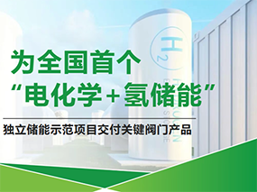 �ڲ���������Ϊ������ȫ���׸����绯ѧ+�ⴢ�ܡ�ʾ����ĿServing China��s First��Electrochemical+Hydrogen Energy Storage��Demo Project